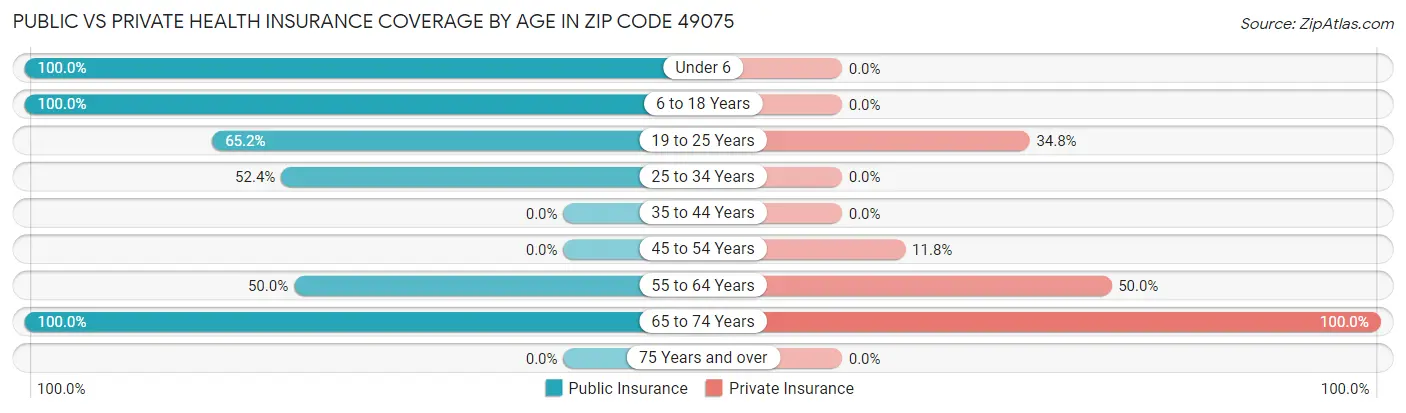 Public vs Private Health Insurance Coverage by Age in Zip Code 49075