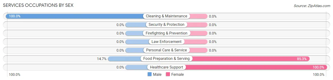Services Occupations by Sex in Zip Code 49075