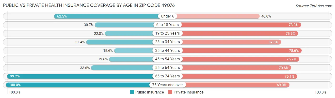 Public vs Private Health Insurance Coverage by Age in Zip Code 49076