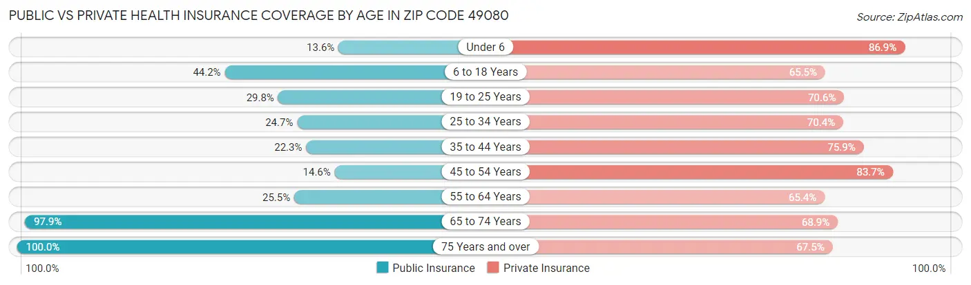 Public vs Private Health Insurance Coverage by Age in Zip Code 49080
