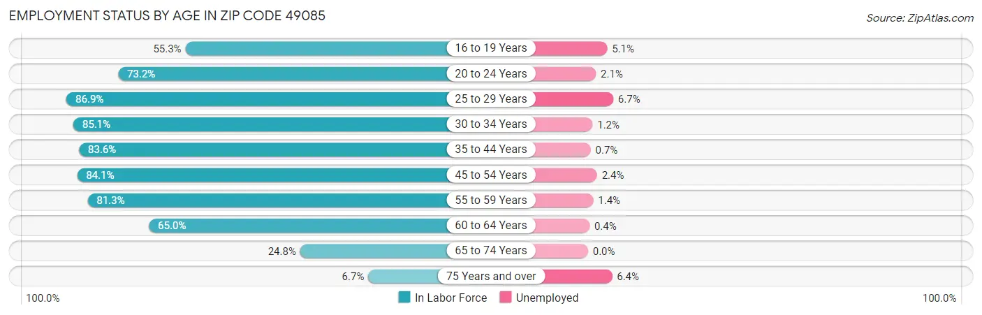 Employment Status by Age in Zip Code 49085