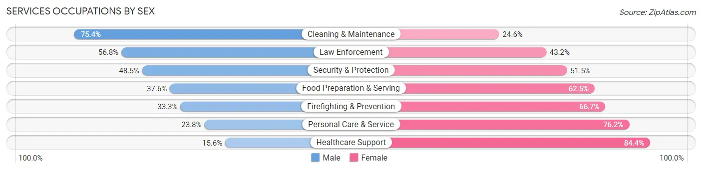 Services Occupations by Sex in Zip Code 49085