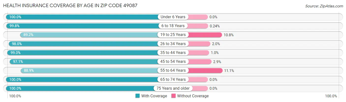 Health Insurance Coverage by Age in Zip Code 49087