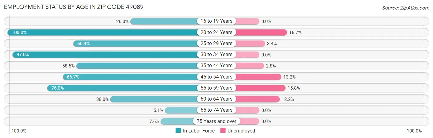 Employment Status by Age in Zip Code 49089