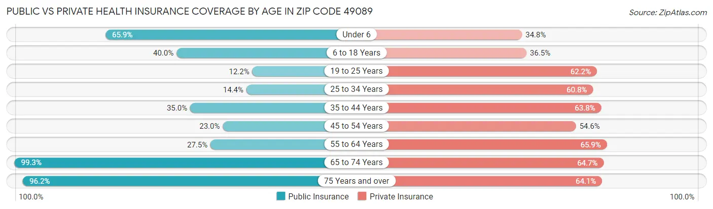 Public vs Private Health Insurance Coverage by Age in Zip Code 49089