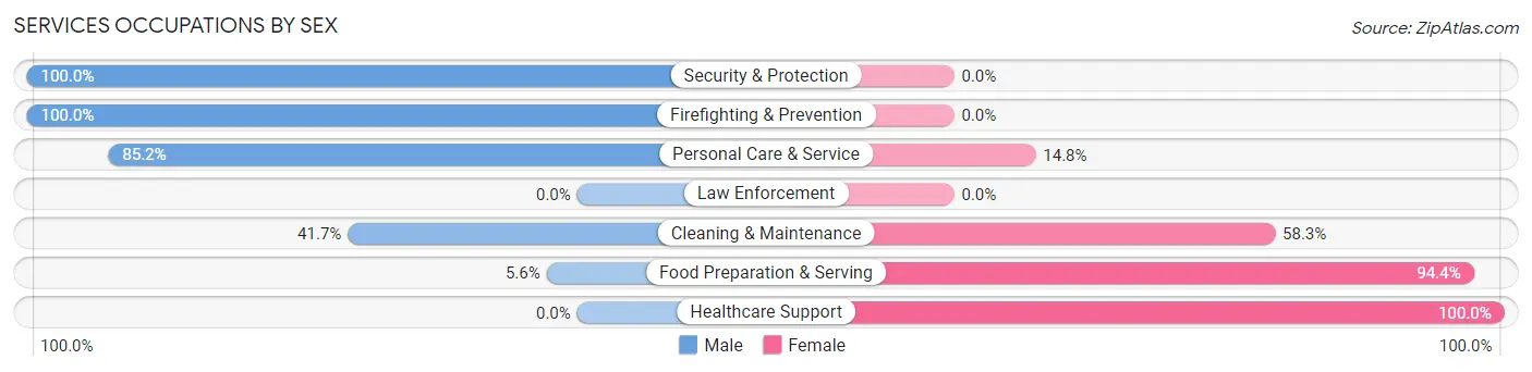 Services Occupations by Sex in Zip Code 49089