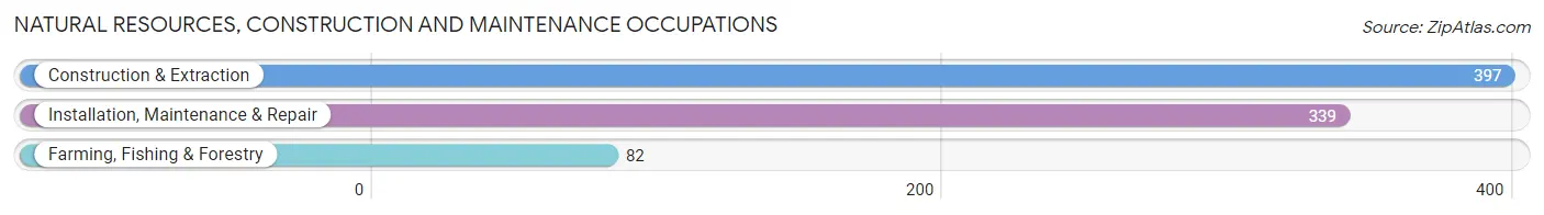 Natural Resources, Construction and Maintenance Occupations in Zip Code 49093