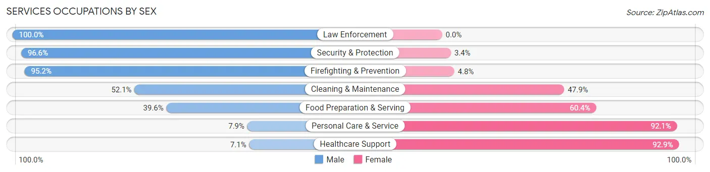 Services Occupations by Sex in Zip Code 49093