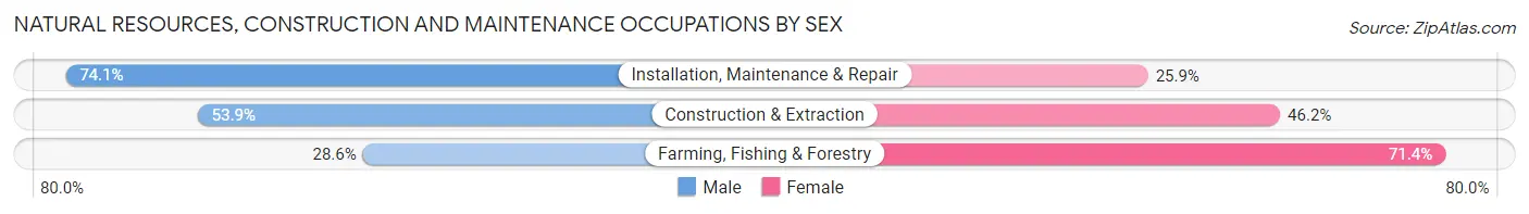Natural Resources, Construction and Maintenance Occupations by Sex in Zip Code 49095