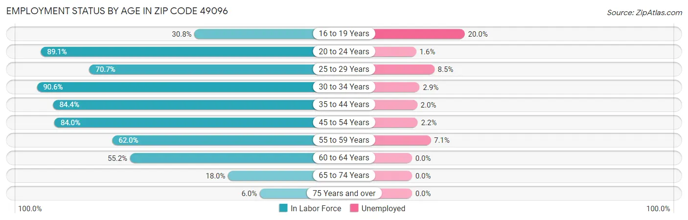 Employment Status by Age in Zip Code 49096