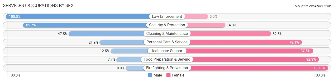 Services Occupations by Sex in Zip Code 49096
