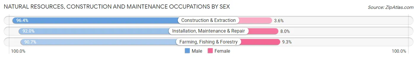Natural Resources, Construction and Maintenance Occupations by Sex in Zip Code 49099