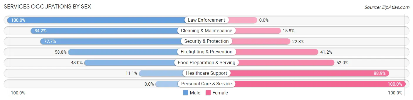 Services Occupations by Sex in Zip Code 49107