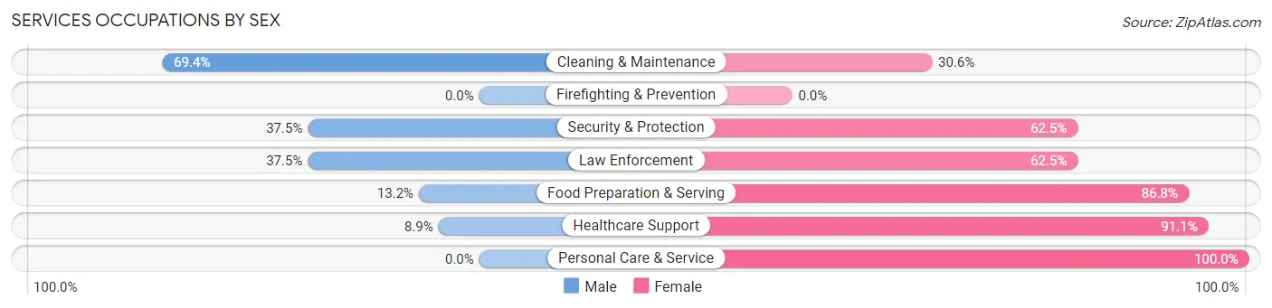 Services Occupations by Sex in Zip Code 49111