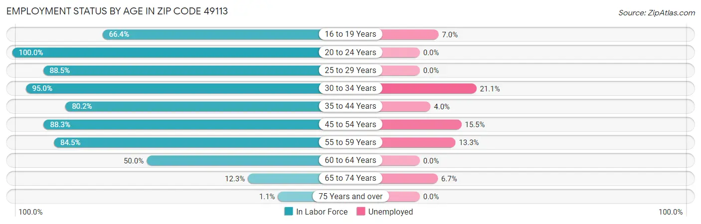 Employment Status by Age in Zip Code 49113