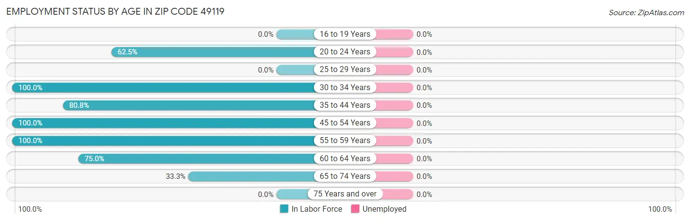 Employment Status by Age in Zip Code 49119