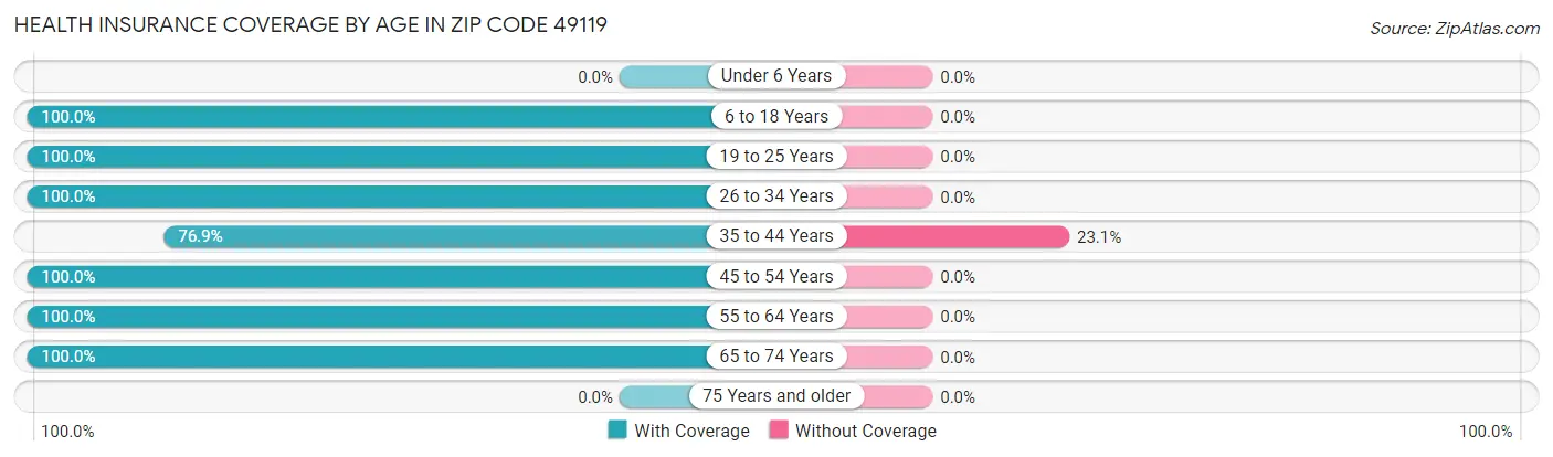 Health Insurance Coverage by Age in Zip Code 49119
