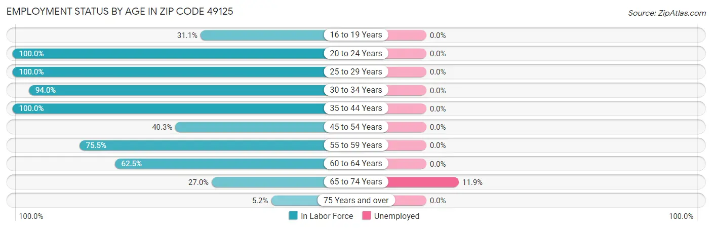 Employment Status by Age in Zip Code 49125