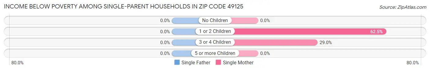 Income Below Poverty Among Single-Parent Households in Zip Code 49125