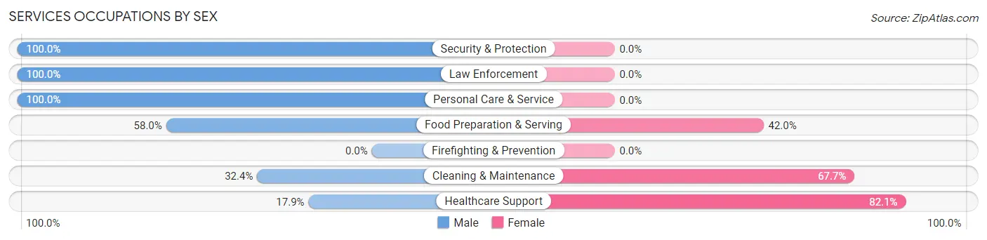 Services Occupations by Sex in Zip Code 49125