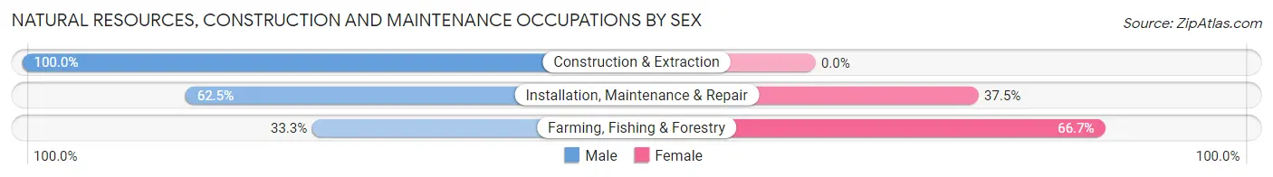 Natural Resources, Construction and Maintenance Occupations by Sex in Zip Code 49126