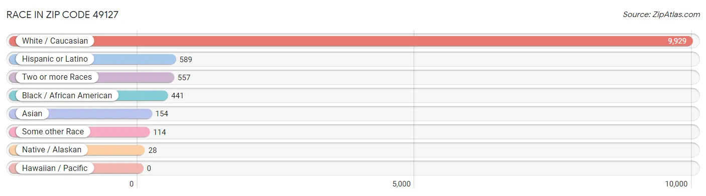 Race in Zip Code 49127