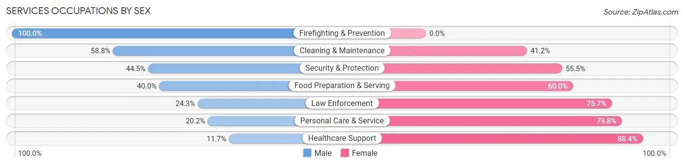 Services Occupations by Sex in Zip Code 49127