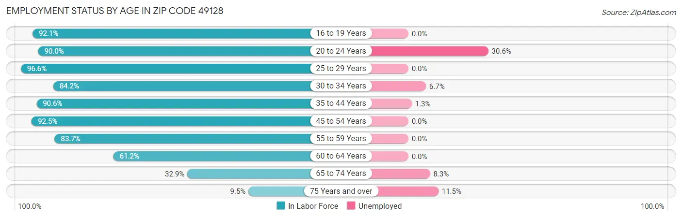 Employment Status by Age in Zip Code 49128