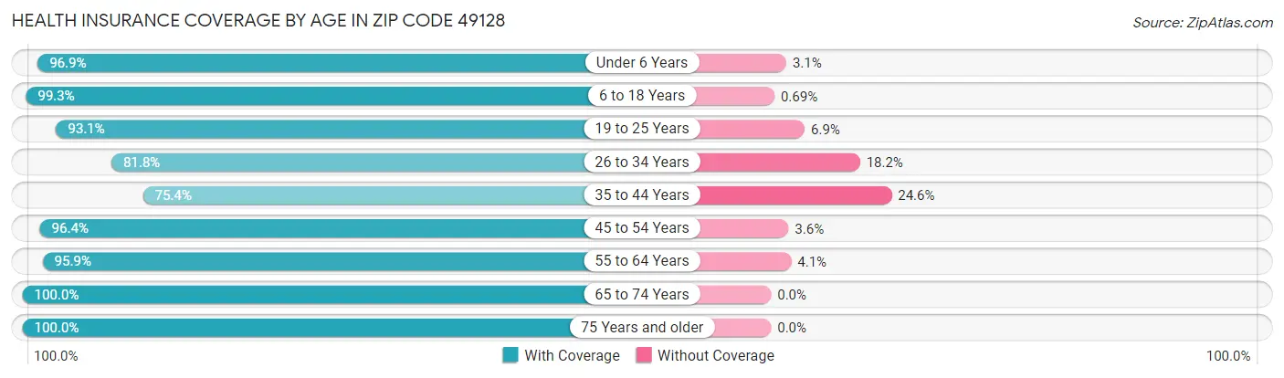 Health Insurance Coverage by Age in Zip Code 49128