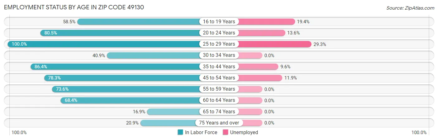 Employment Status by Age in Zip Code 49130