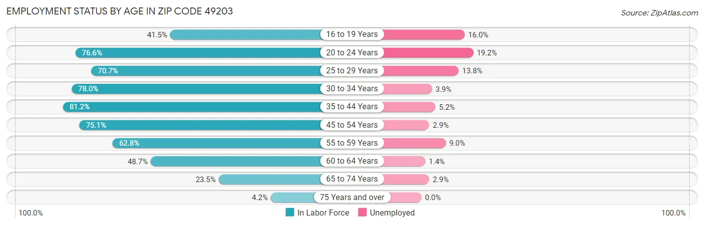 Employment Status by Age in Zip Code 49203