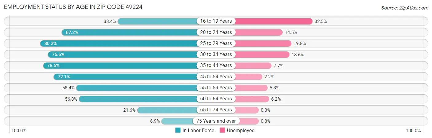 Employment Status by Age in Zip Code 49224
