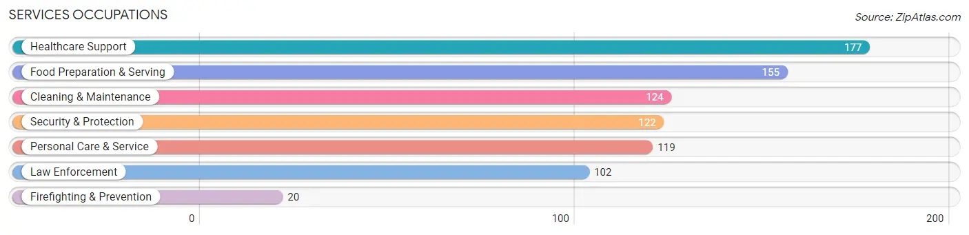 Services Occupations in Zip Code 49230