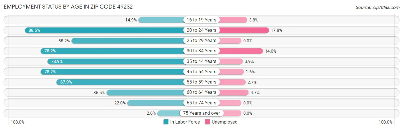 Employment Status by Age in Zip Code 49232