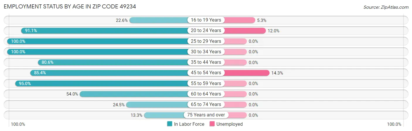 Employment Status by Age in Zip Code 49234