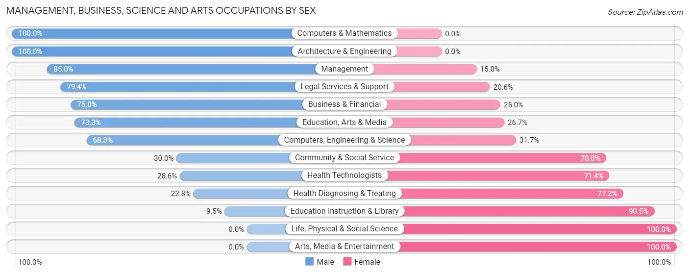 Management, Business, Science and Arts Occupations by Sex in Zip Code 49234