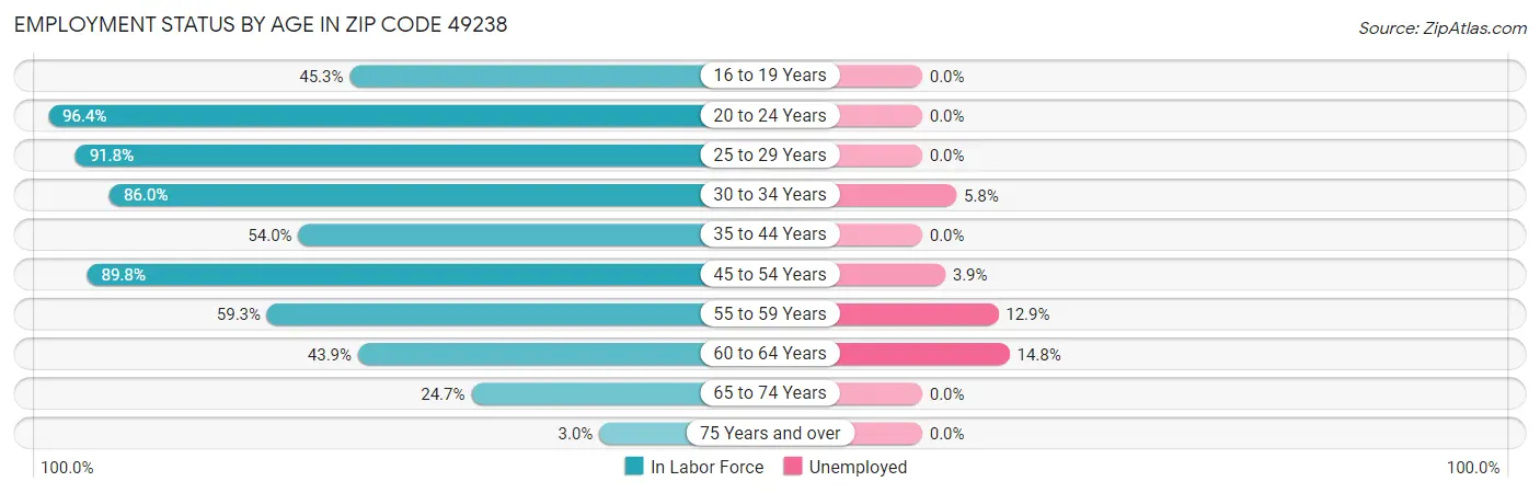 Employment Status by Age in Zip Code 49238