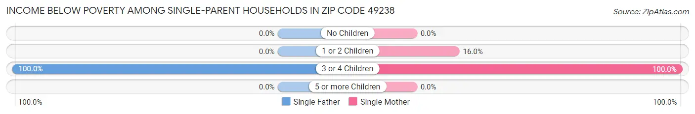 Income Below Poverty Among Single-Parent Households in Zip Code 49238