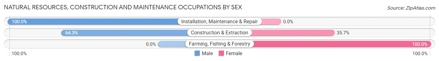 Natural Resources, Construction and Maintenance Occupations by Sex in Zip Code 49241