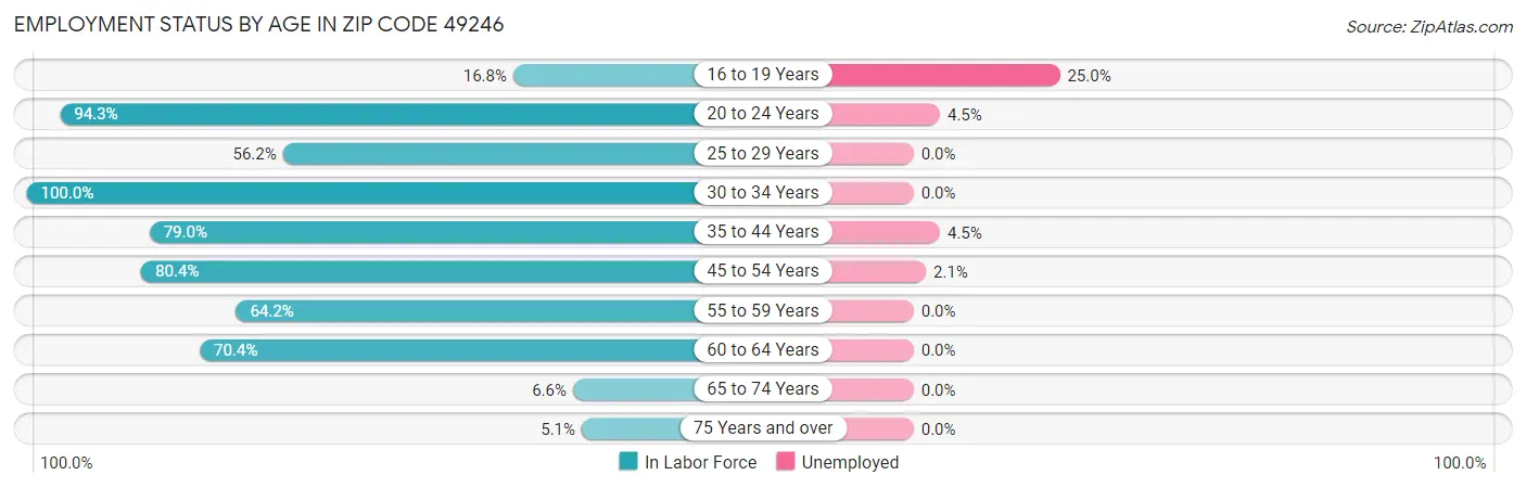 Employment Status by Age in Zip Code 49246