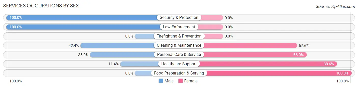 Services Occupations by Sex in Zip Code 49246