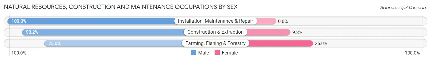 Natural Resources, Construction and Maintenance Occupations by Sex in Zip Code 49250