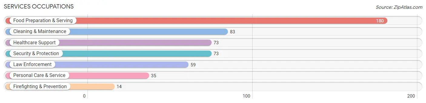 Services Occupations in Zip Code 49251