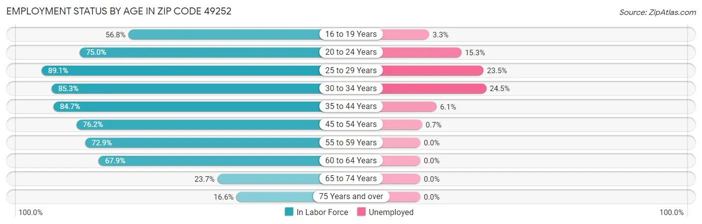 Employment Status by Age in Zip Code 49252