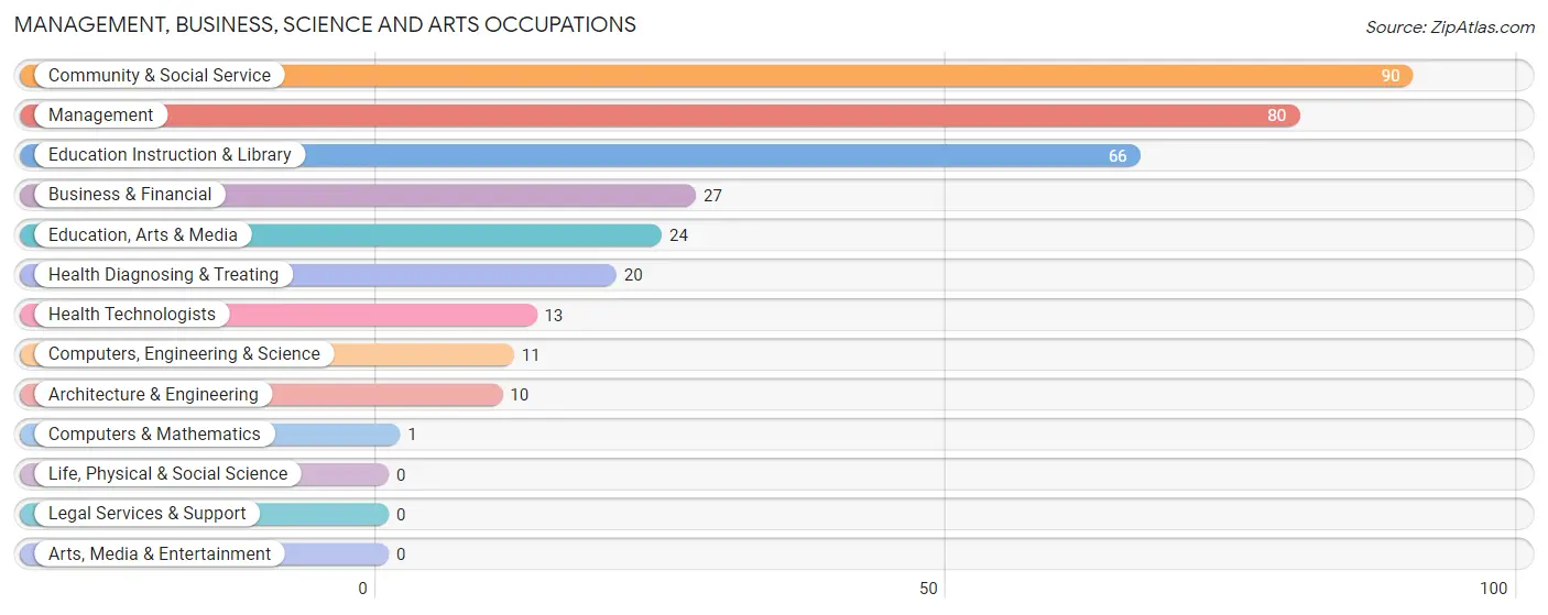 Management, Business, Science and Arts Occupations in Zip Code 49252