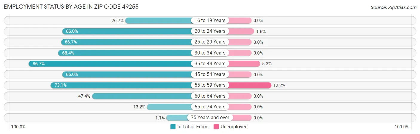 Employment Status by Age in Zip Code 49255