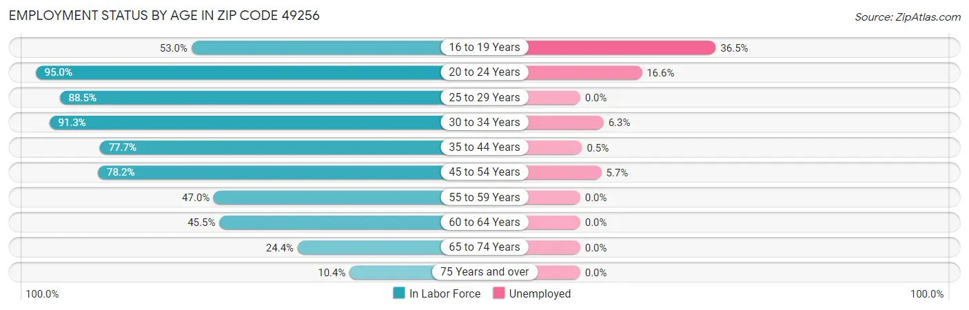 Employment Status by Age in Zip Code 49256