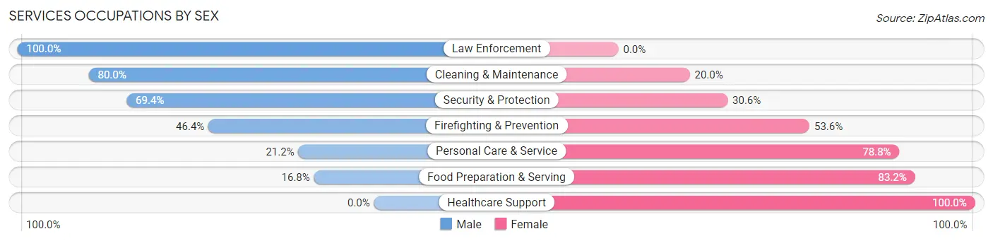 Services Occupations by Sex in Zip Code 49256