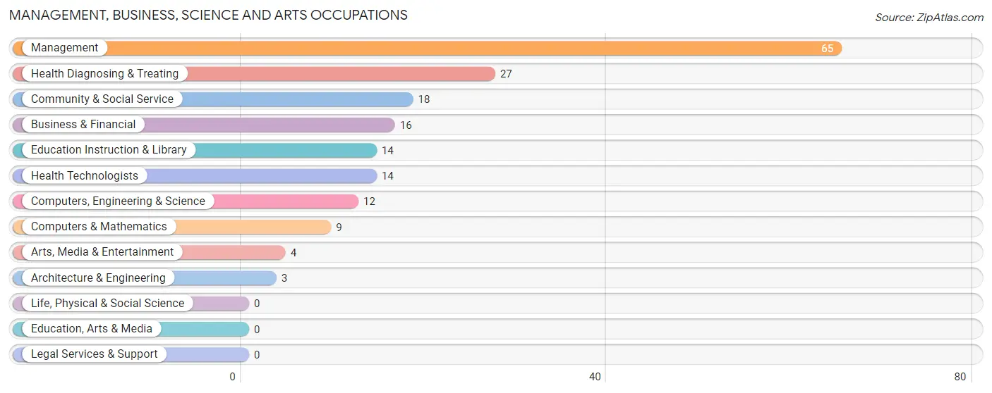 Management, Business, Science and Arts Occupations in Zip Code 49276