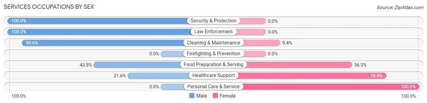 Services Occupations by Sex in Zip Code 49288